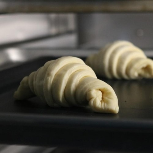 제빵 업소용냉동고 2도어 베이커리 급속냉동고의 효율적인 저장