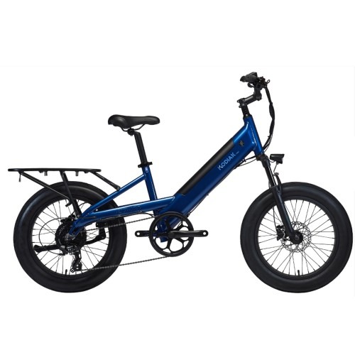 2024년 알톤 코디악 D20 8단 배달 스로틀 전기 자전거의 효율적 운송 경험