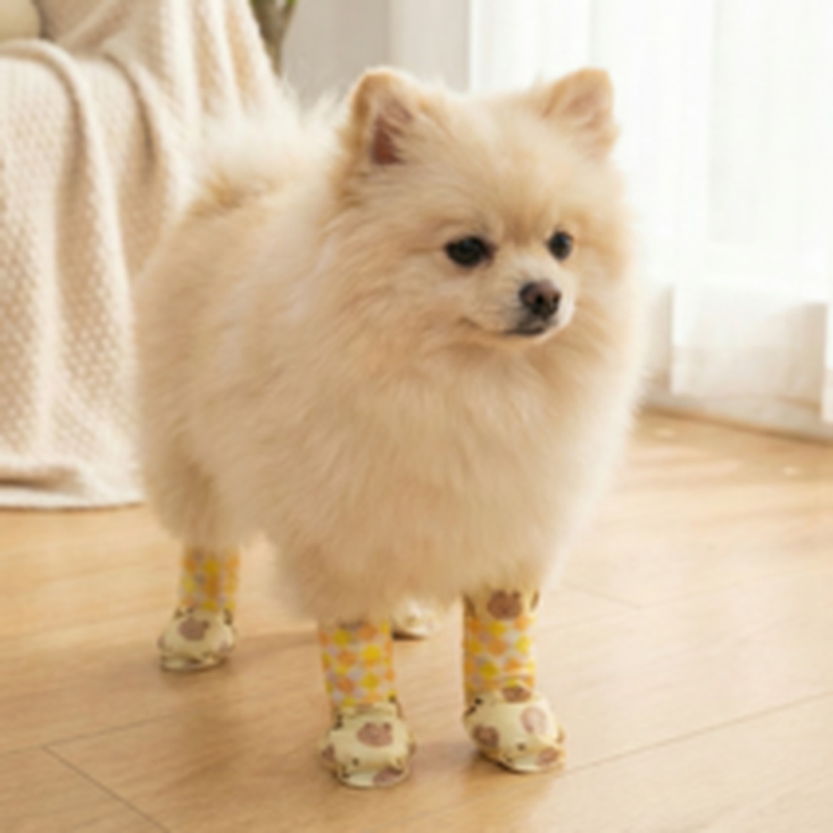 웨이백홈 통기성 강아지 일회용 신발, 실사용 후기