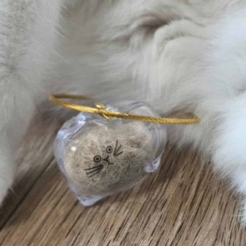 고양이털보관함 메모리얼키링 사용 후기 | 소중한 기억 간직하기