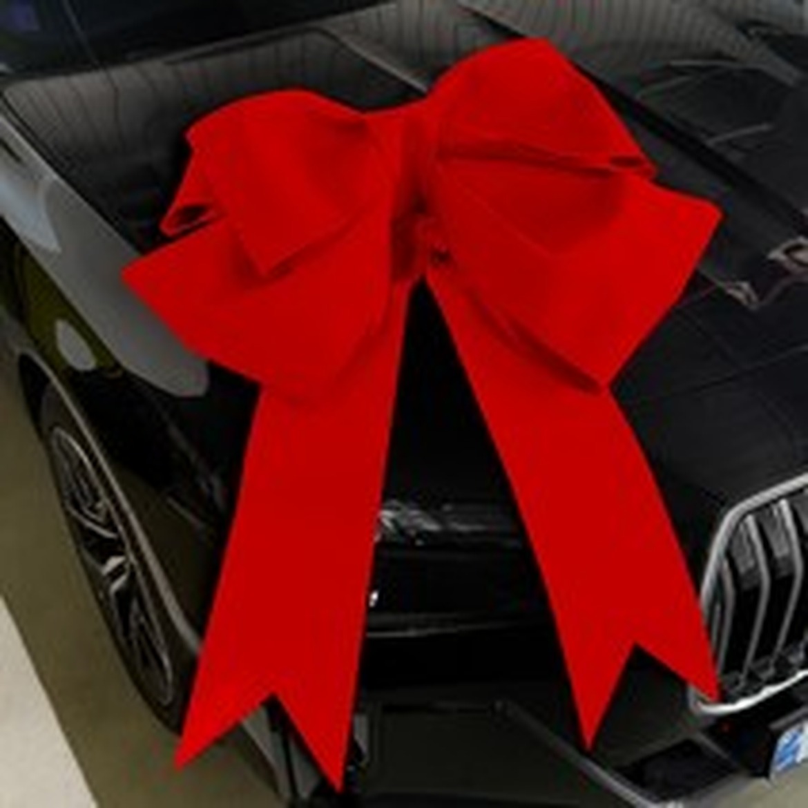 레인윙스 초대형 대왕리본, 활용도 높은 선택