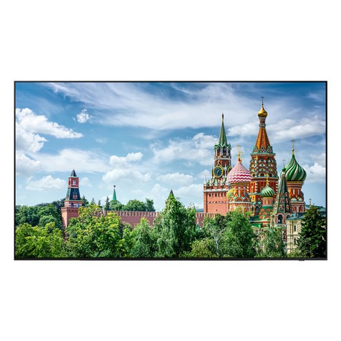 대화면 OLED TV 구매 전 확인해야 할 포인트