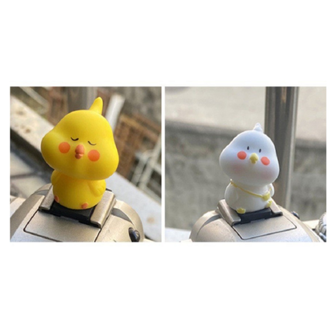 지스터프 후지필름 프리미엄 미러리스 카메라로 순간을 담다