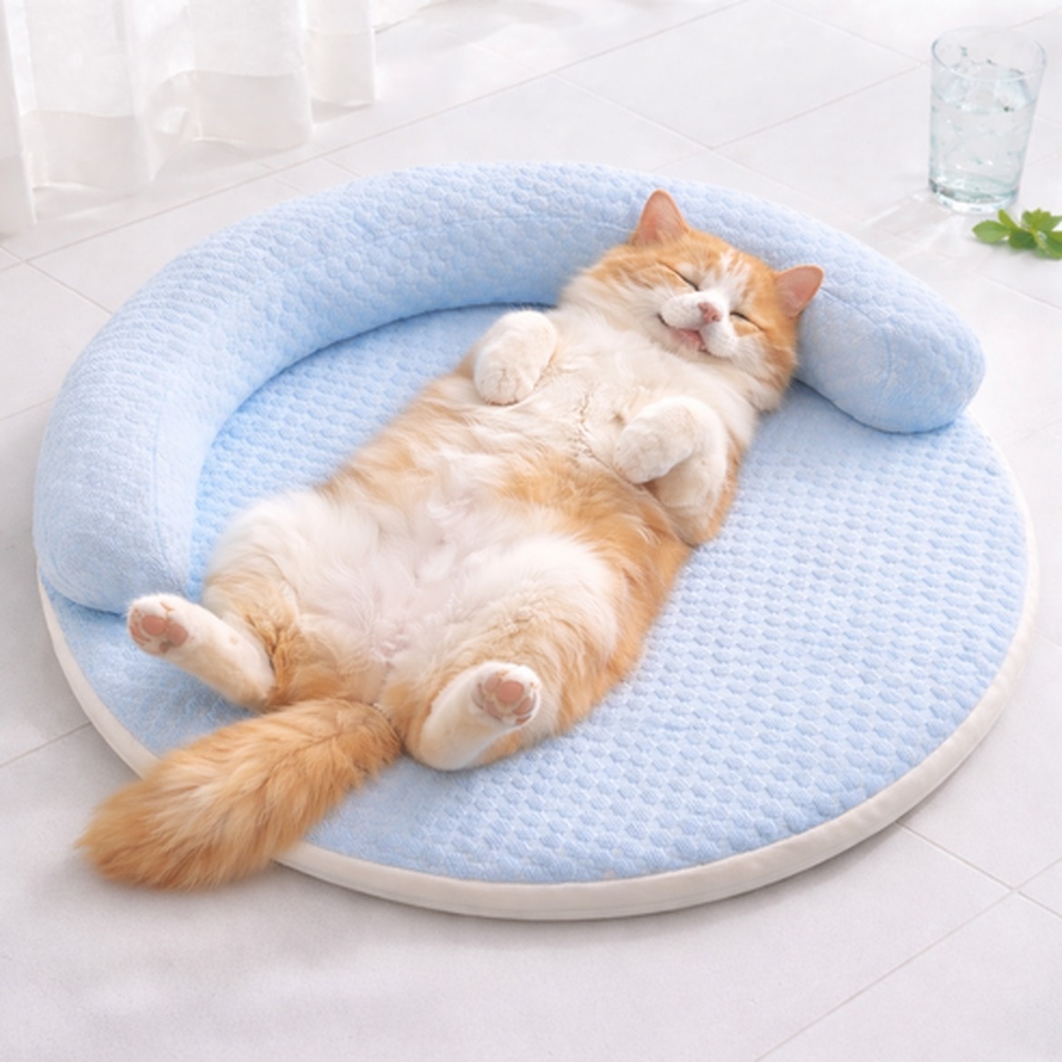 GACA 강아지 고양이 쿨매트, 여름의 필수 아이템
