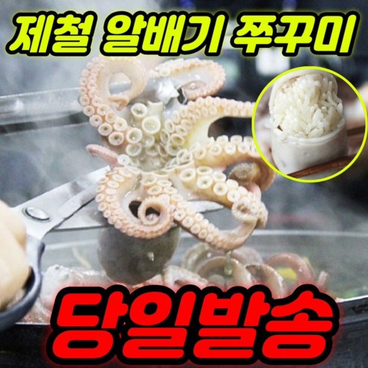 국산 활 쭈꾸미, 신선도와 맛의 차별점