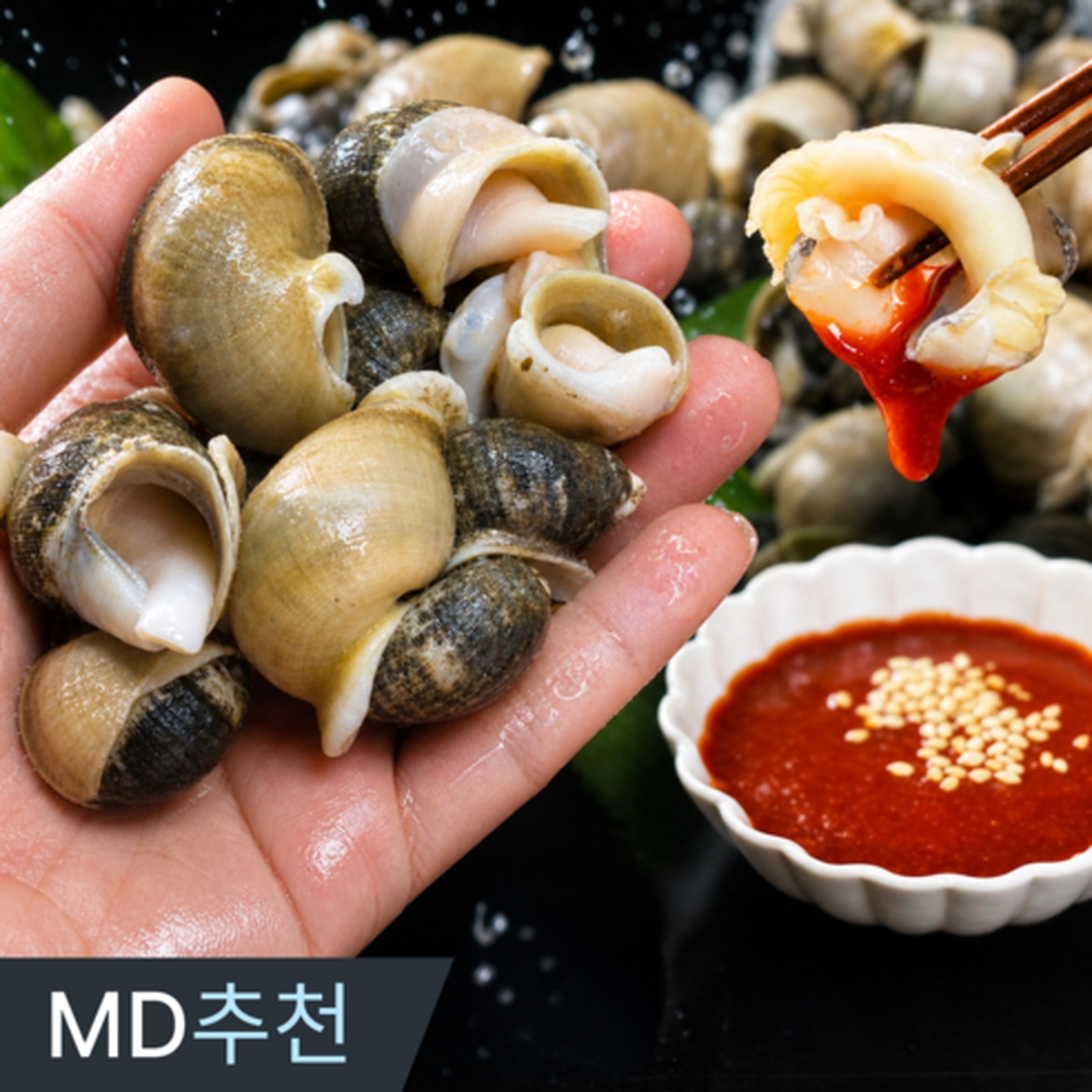 생물 흑고동 소라 구매 전 확인할 점