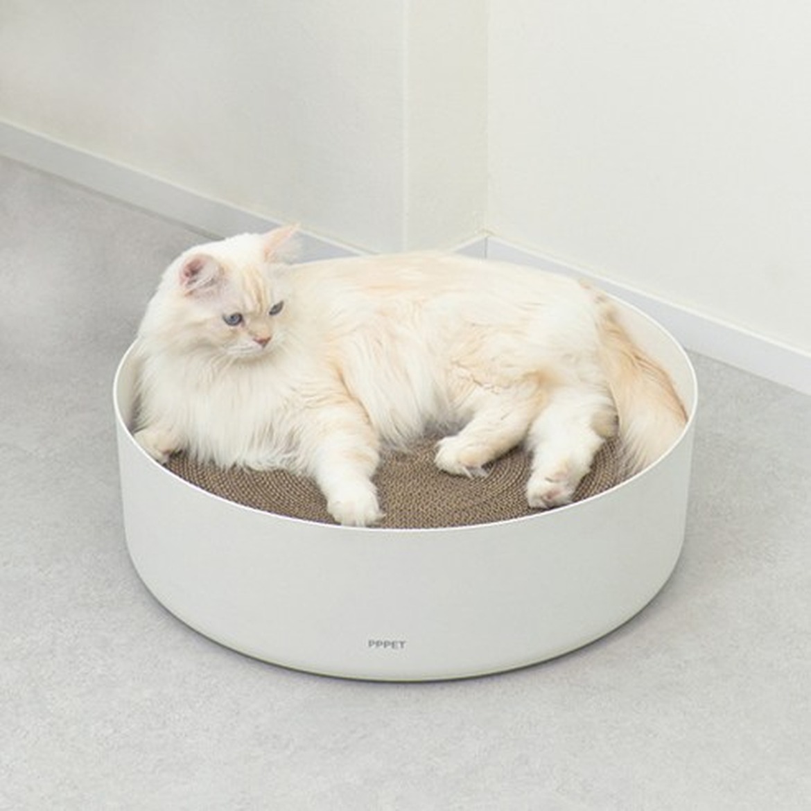 고양이 스크래쳐 선택 시 체크포인트와 차별적 특징