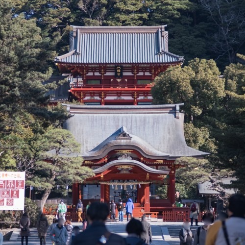 도쿄 하코네&가마쿠라 일일버스투어 구매 전 확인 포인트