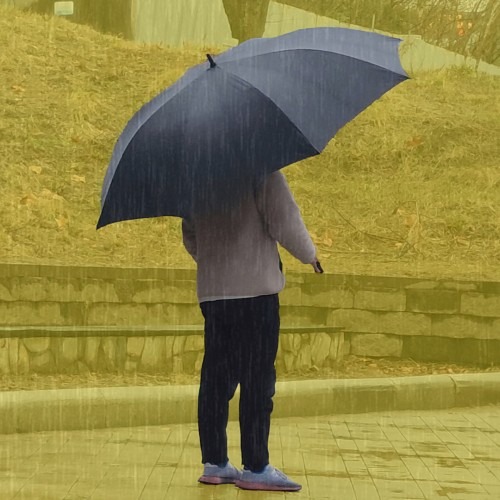 비 오는 날에도 걱정 없는 초광폭우산, 구매 전 확인 포인트